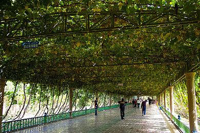 小岛秀夫《OD》将有大量知名人士参与 游戏界“复仇者联盟”